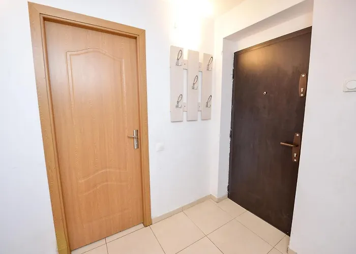 Nightlife Apartament