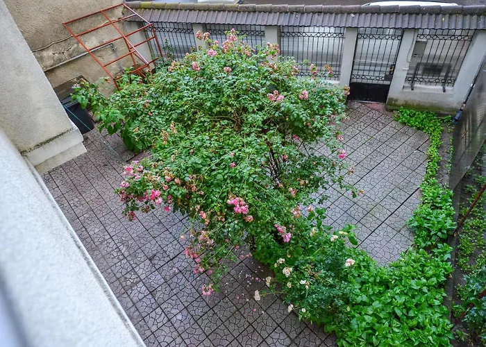 Nightlife ブカレスト